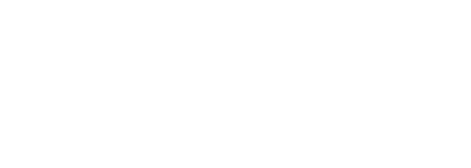 Logo Vnstra